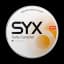 SYX Salty Caramel Mini