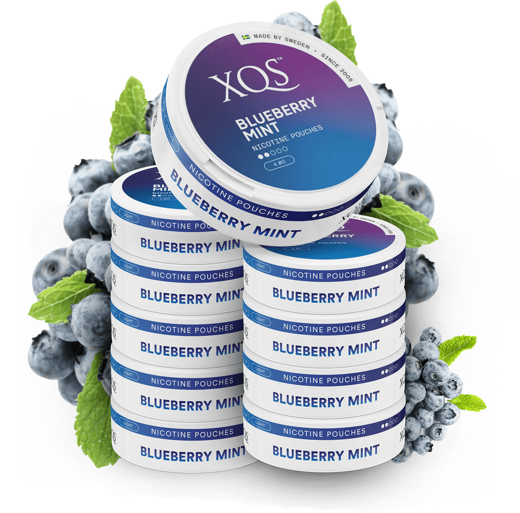 10 Cans XQS Blueberry Mint 4mg