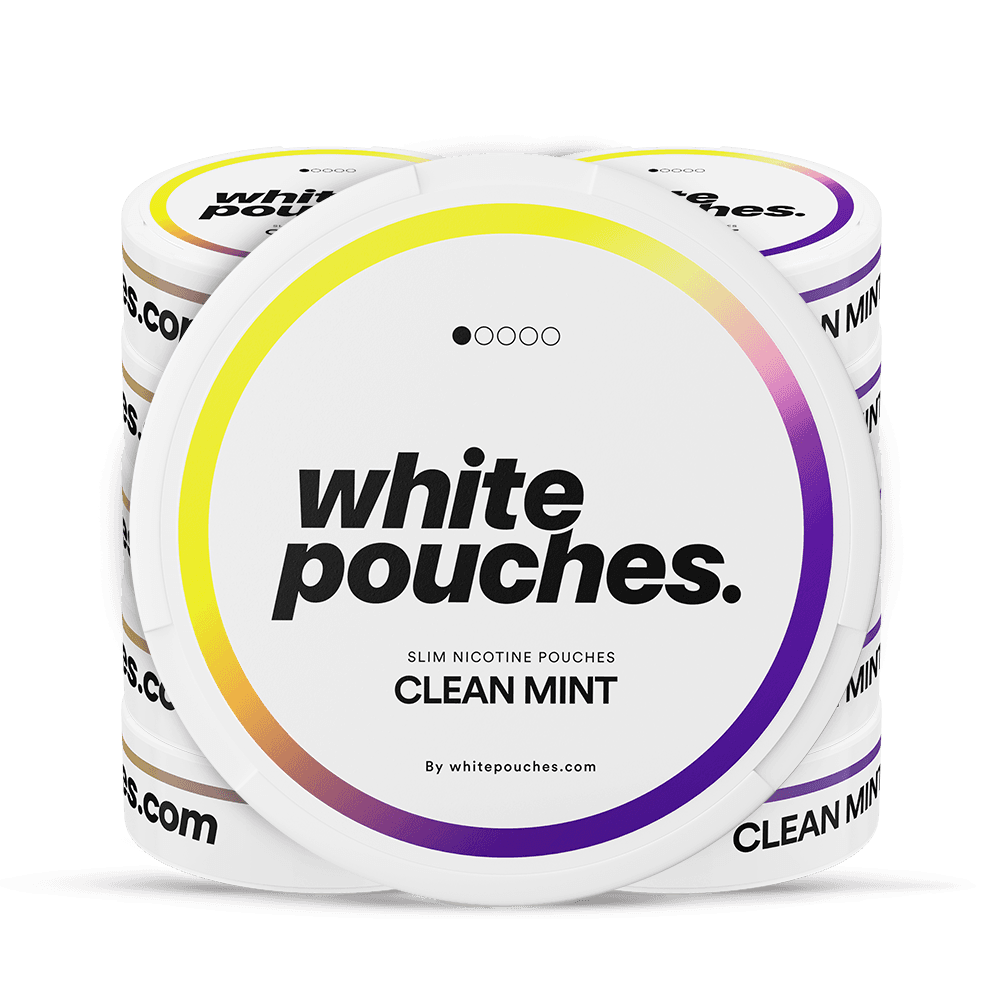 10x Whitepouches Clean Mint Light