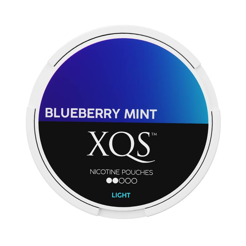XQS Blueberry Mint 4mg Slim